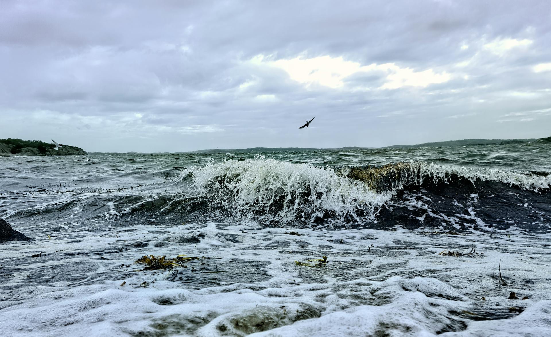 2026 OpenClaw container mode with Docker and Podman CLI passthrough, mounts, and doctor troubleshooting