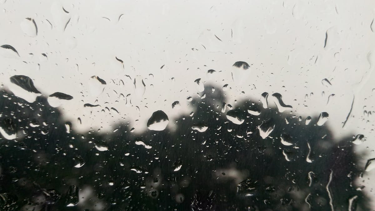 2026 원격 Mac 기업 CI에서 SSH와 VNC를 선택하는 장면